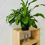 Viva Apartment Istanbul