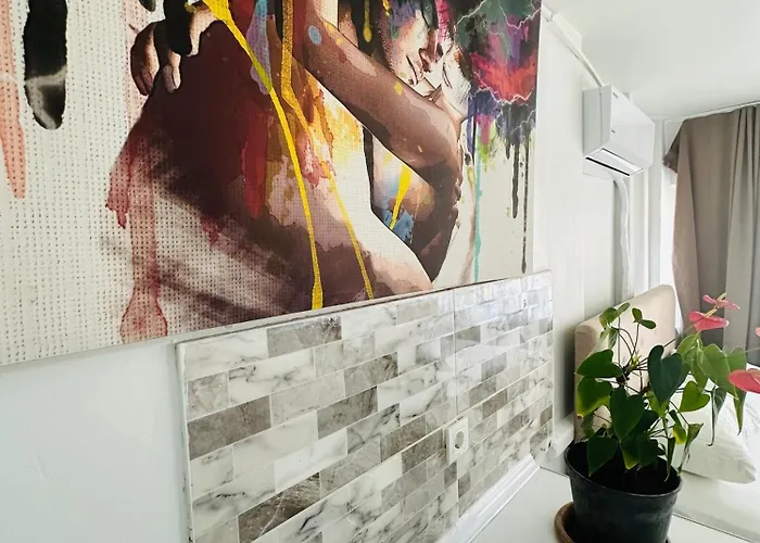 Viva * 伊斯坦布尔