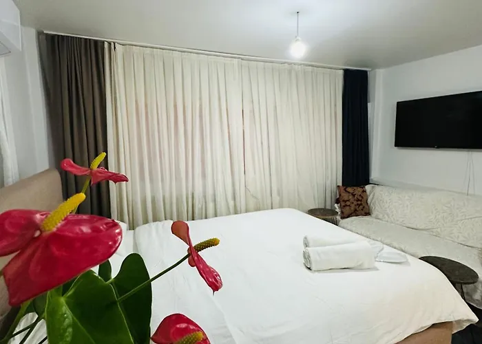 Viva * 伊斯坦布尔