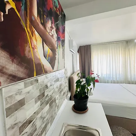 Viva Provincia di Istanbul